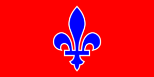 Pillow Fortress Scouts flag