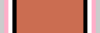 Order of the Cyber Force - Princess Citation Ribbon.png