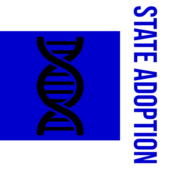File:Flag of the Undersecretary of State Adoption.png