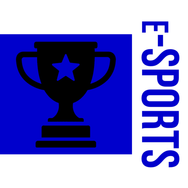 File:Flag of the Undersecretary of e-Sports.png