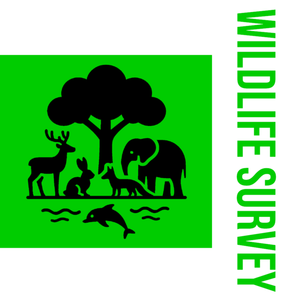 File:Flag of the Undersecretary of Wildlife Survey.png