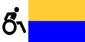 Disability Faction flag