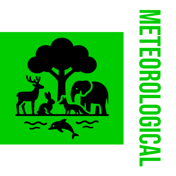 File:Flag of the Undersecretary of Meteorological.png