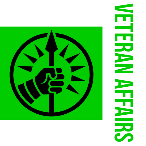 File:Flag of the Undersecretary of the Veteran Affairs.png