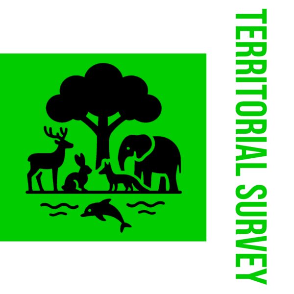 File:Flag of the Undersecretary of Territorial Survey.png