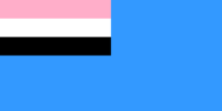 Flag of country