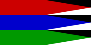 New Flag of the Directory.png