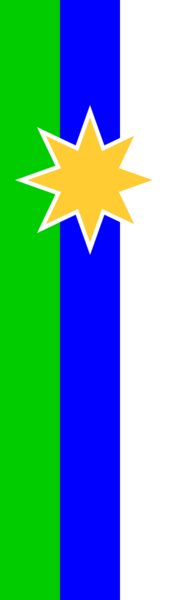 File:Ceremonial Flag of the Libertine Party Business Oversight Branch.png