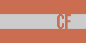 Order of the Cyber Force flag