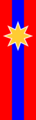 Ceremonial Flag of the Libertine Party Discipline Branch.png