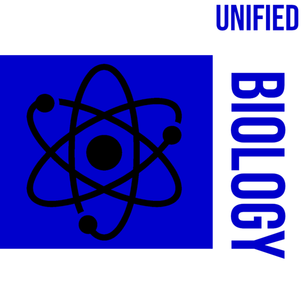 File:Flag of the Undersecretary of Unified Biology.png