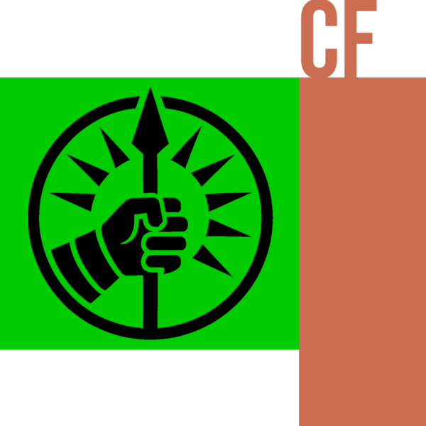 File:Flag of the Undersecretary of the Cyber Force.png