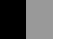 PUP flag